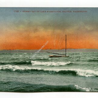 stormy-day-on-lake-washington-seattle-washington-2181
