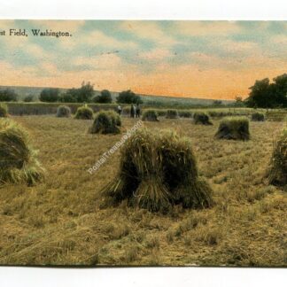 sunset-harvest-field-washington-2056