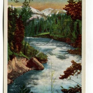 swan-river-montana-2166