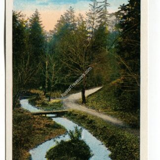 view-in-cowen-park-seattle-washington-2112