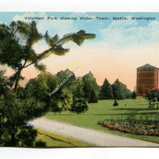 volunteer-park-showing-water-tower-seattle-washington-2174
