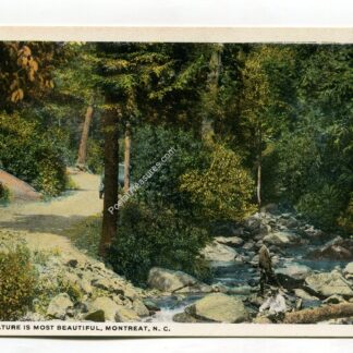 where-nature-is-most-beautiful-montreat-north-carolina-2138