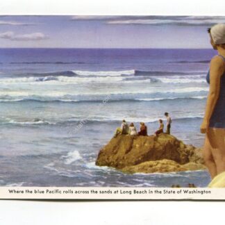 where-the-blue-pacific-rolls-across-the-sands-at-long-beach-in-the-state-of-washington-2050