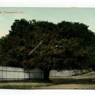 Big Oak Thomasville Georgia