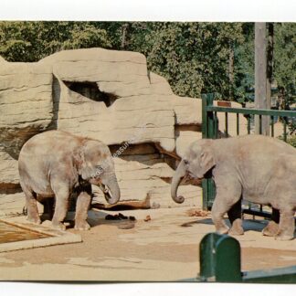 lota-and-tamara-washington-park-zoo-milwaukee-wisconsin-2304