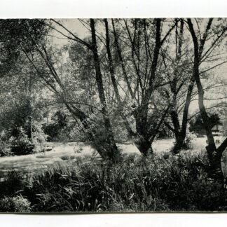 minnehaha-creek-above-the-falls-twin-cities-minnesota-2286