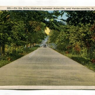 on-the-dixie-highway-between-asheville-and-hendersonville-north-carolina-2206