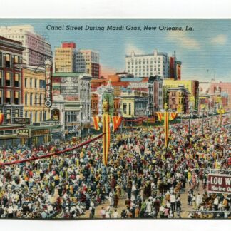 canal-street-during-mardi-gras-new-orleans-louisiana-2633