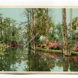 from-the-bridge-magnolia-on-the-ashley-charleston-south-carolina-2729