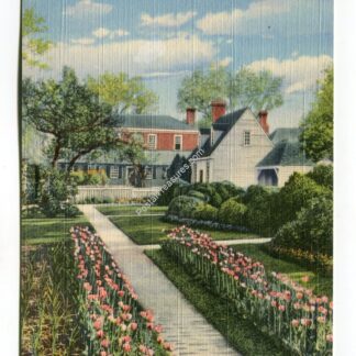 garden-of-ludwell-paradise-house-williamsburg-virginia-2821