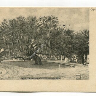 great-oak-magnolia-cemetery-charleston-south-carolina-2725