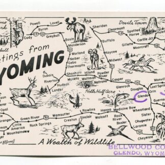 greetings-from-wyoming-a-wealth-of-wildlife-bellwood-court-glendo-wyoming-2799