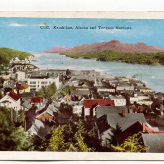 ketchikan-alaska-and-tongass-narrows-2613