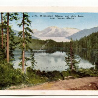 mendenhall-glacier-and-auk-lake-near-juneau-alaska-2615