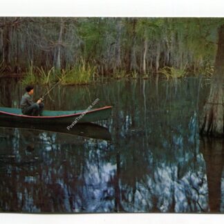 serenity-louisiana-s-deep-south-2647