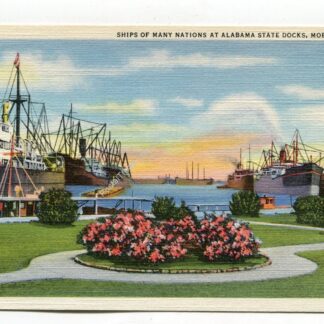 ships-of-many-nations-at-alabama-state-docks-mobile-alabama-2595