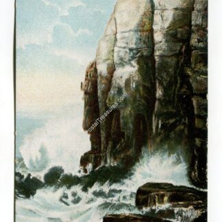 white-head-cushing-s-island-portland-harbor-2836