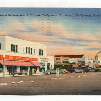 business-section-north-side-of-hollywood-boulevard-hollywood-florida-2955
