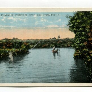 fishing-on-ocklawaha-river-near-ocala-florida-2954