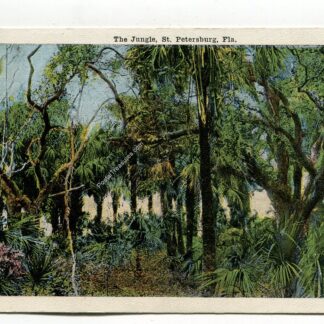 jungle-st-petersburg-florida-2957