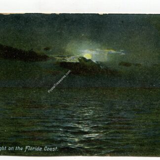 moonlight-on-the-florida-coast-2939
