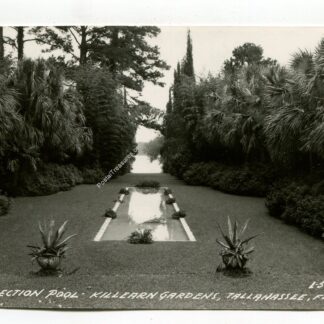 reflection-pool-killearn-garden-tallahassee-florida-2938