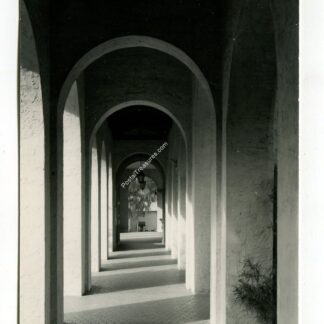 rollins-college-winter-park-florida-2953