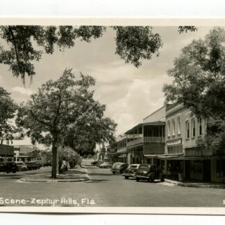 street-scene-zephyr-hills-florida-2944