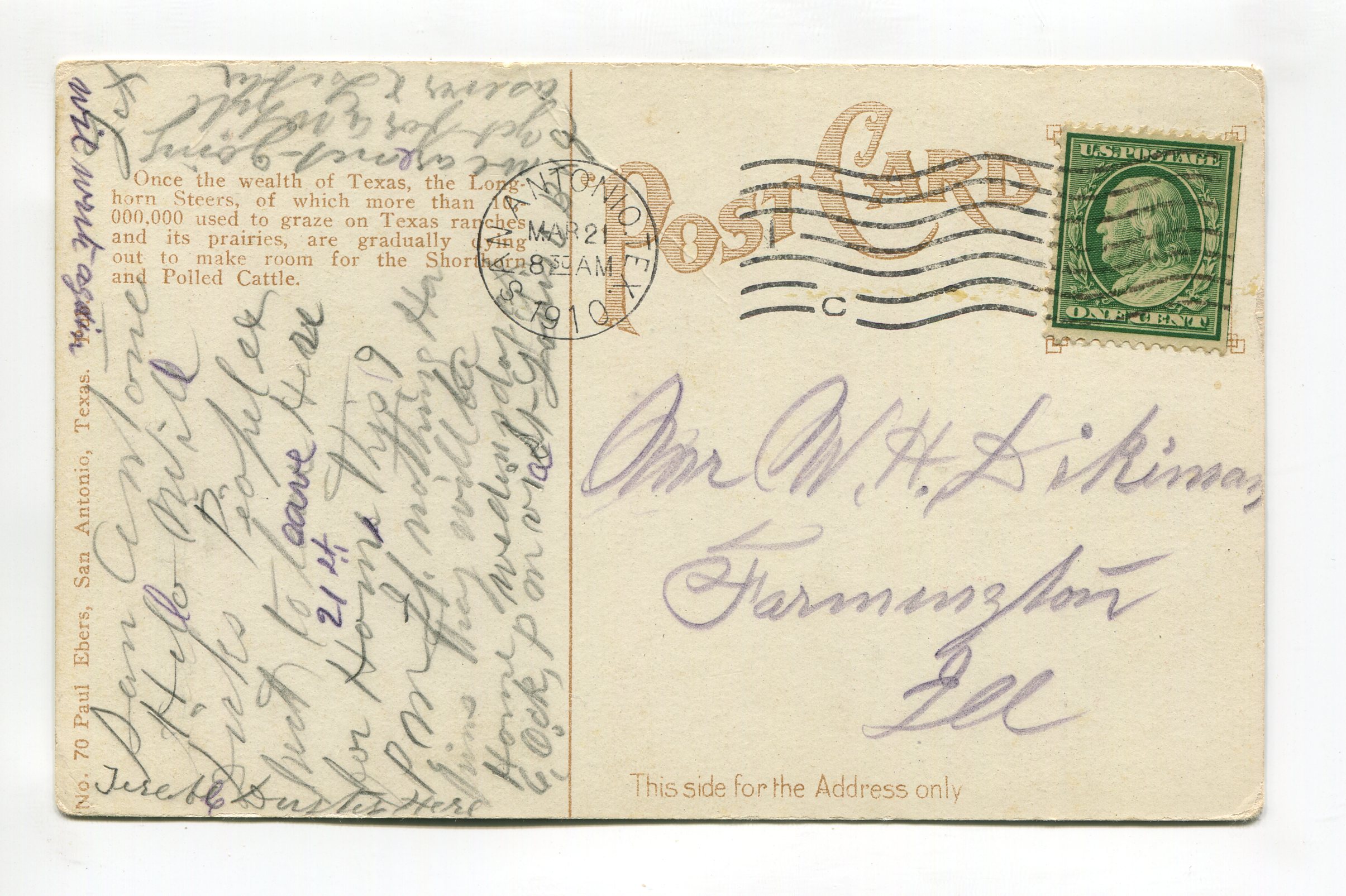 texas-longhorn-steer-width-of-horns-9-ft-6-in-a18835