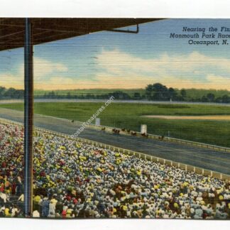 nearing-the-finish-monmouth-park-race-course-oceanport-new-jersey-2997