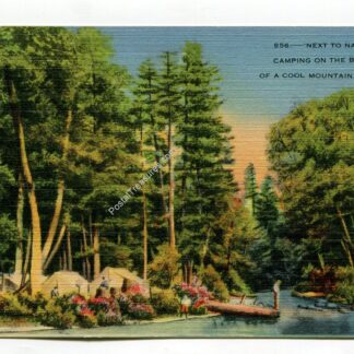 next-to-nature-camping-on-the-banks-of-a-cool-mountain-stream-2987