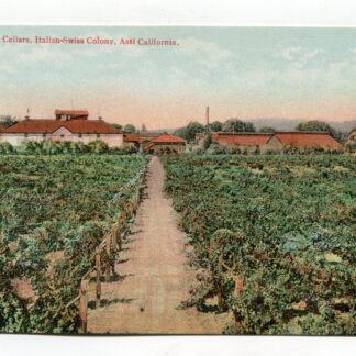 wine-cellars-italian-swiss-colony-asti-california-2983