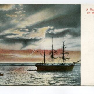 Marine Scene on Pacific