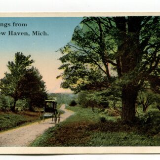 greetings-from-new-haven-michigan-3162