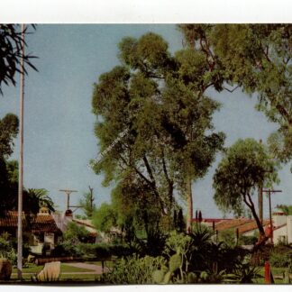 old-town-san-diego-3123