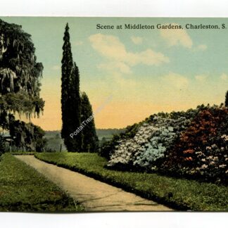 scene-at-middleton-gardens-charleston-south-carolina-3159