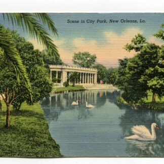scene-in-city-park-new-orleans-louisiana-3164