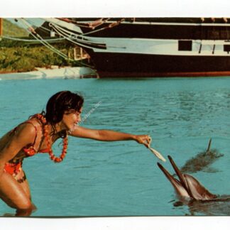 sea-life-park-makapuu-point-hawaii-3113