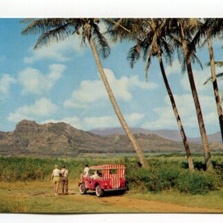 sleeping-giant-island-of-kauai-hawaii-3114