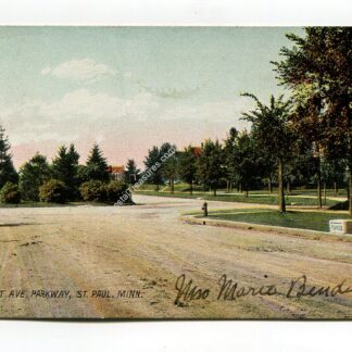 summit-ave-parkway-st-paul-minnesota-3156