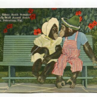 Romance Wild Animal Ranch