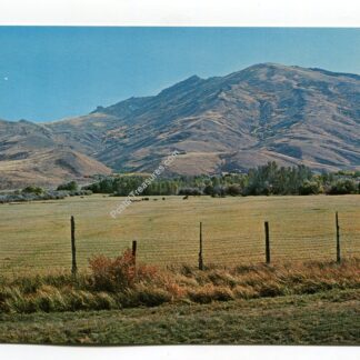 nevada-mountain-and-meadows-3190