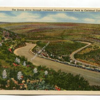scenic-drive-through-carlsbad-cavern-national-park-to-carlsbad-caverns-new-mexico-3218