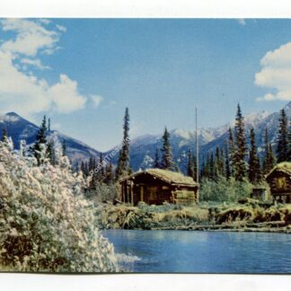 trappers-cabin-substantial-income-to-alaska-s-economy-3196