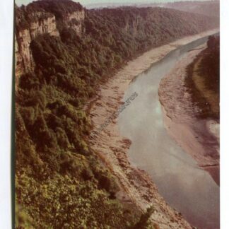 lancaut-loop-near-chepstow-3246