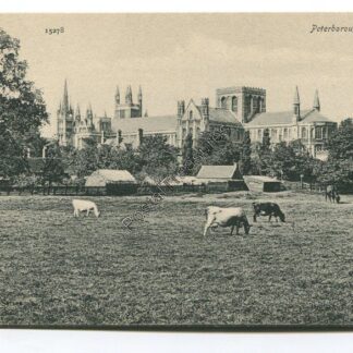 peterborough-cathedral-3278