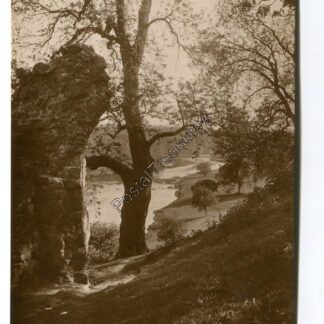 teviot-from-roxburgh-castle-kelso-3284