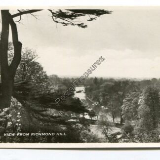 view-from-richmond-hill-3304