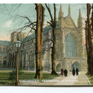 winchester-cathedral-and-avenue-3288