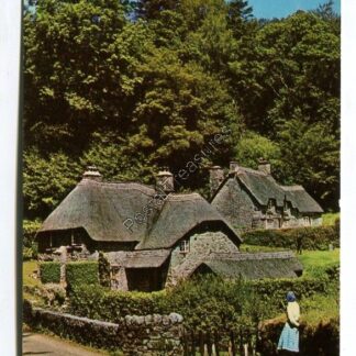 buckland-in-the-moor-dartmoor-3312